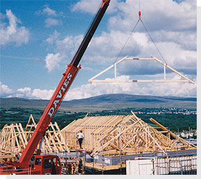 crane-roof